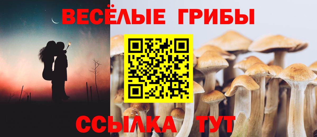 Галлюциногенные грибы GOLDEN TEACHER  Вход с VPN  Галлюциногенные грибы мицелий  Мирный 